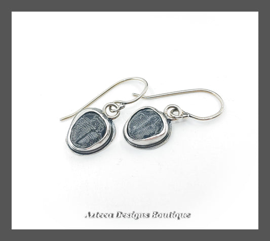 Fossilized Trilobite + Argentium Silver Hand Fabricated Earrings