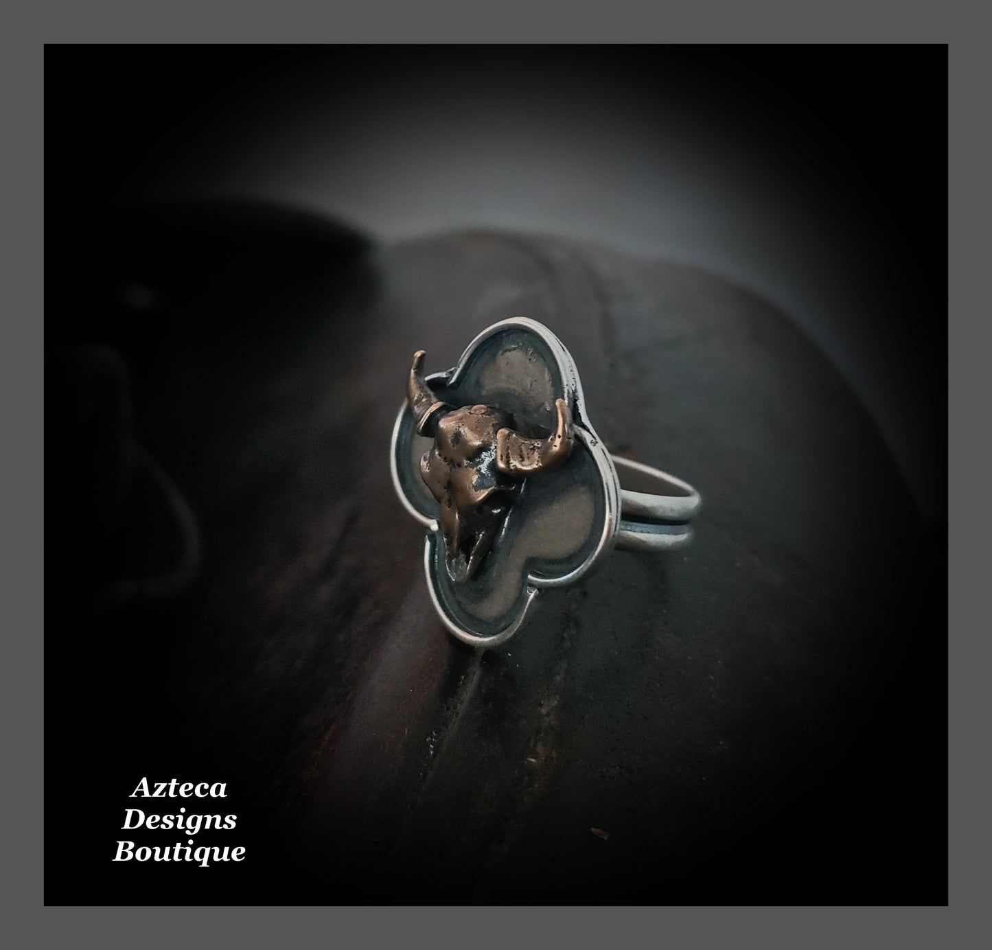 SIZE 8.5 Bronze + Sterling Silver Bison Skull Western Ring